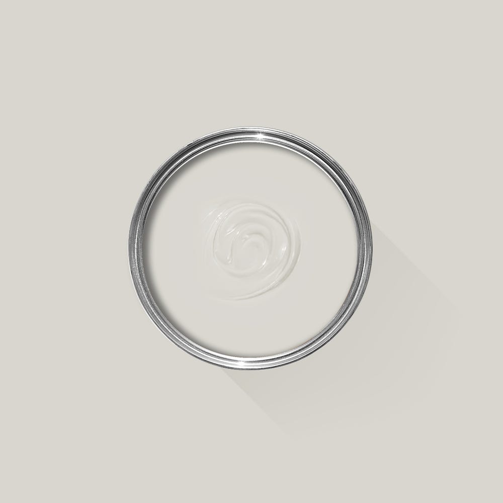 Farrow and Ball Ammonite light gray paint swatch