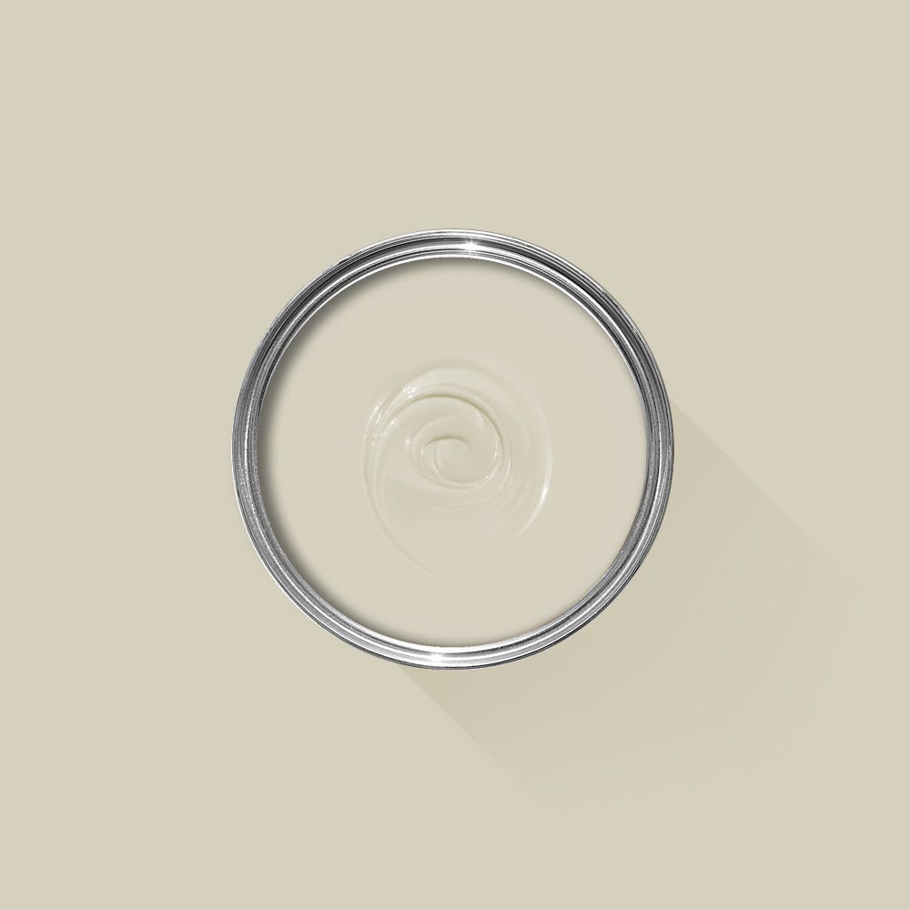 Farrow and Ball Shadow White paint swatch